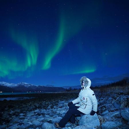 Arctic Rooms Rektor Тромсьо Екстериор снимка